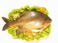 Cozinheiro Nielzinho 